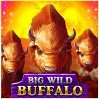 Logo of Big Wild Buffalo from Belatra Games at iDEAL Casino